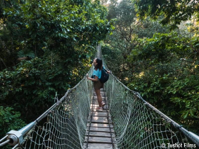 Over de loopbrug van de canopy walk