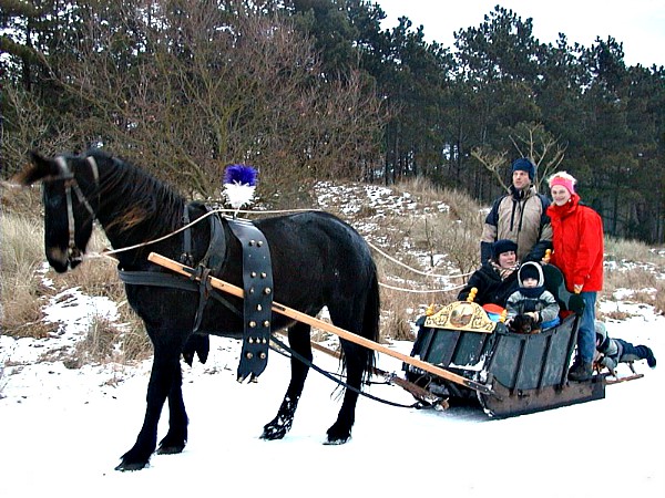 Winters genieten met een leuke arrensleetocht bij Puur Terschelling