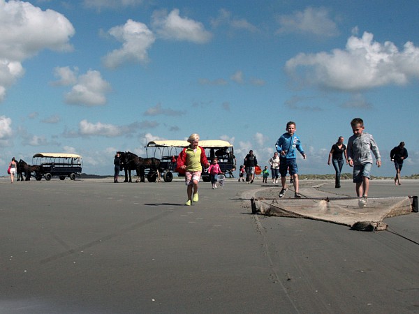 Noordzeetocht met garnalen vangen bij Puur Terschelling