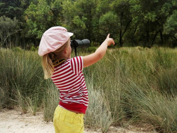 Dieren spotten in de natuur
