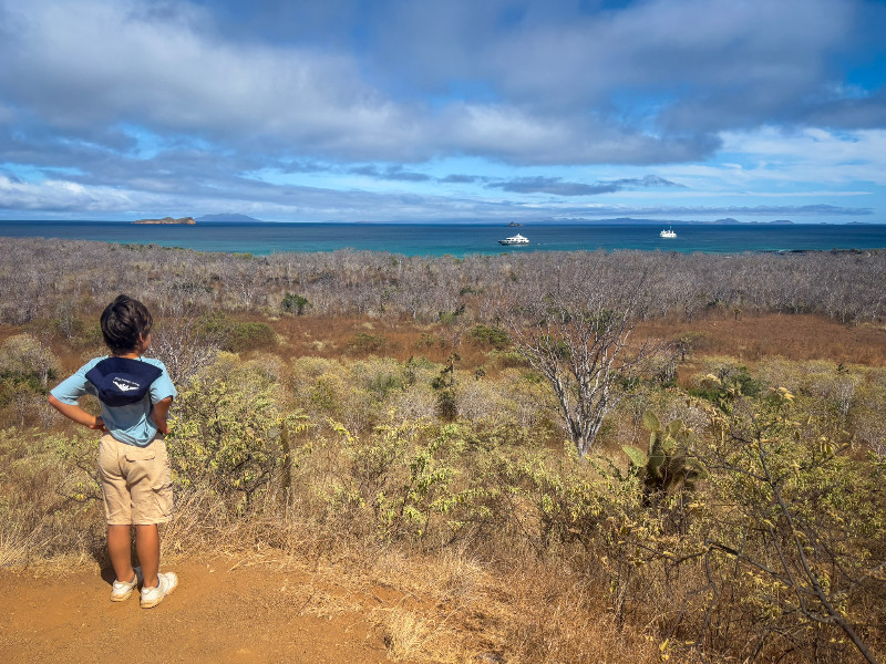 Zoon van Rebecca in de natuur op de Galápagos Eilanden