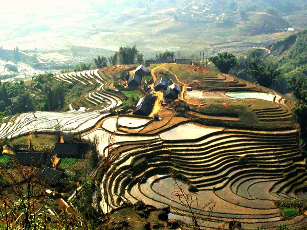 Prachtige rijstvelden in de bergen van Vietnam