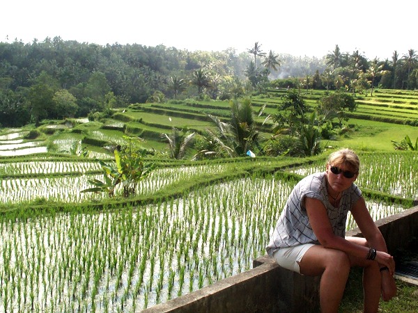 Prachtige rijstvelden op Bali, Indonesië