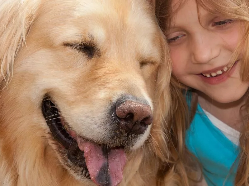 Bij Roan bieden ze een selectie hondvriendelijke vakanties aan waar wellicht ook iets voor jouw gezin tussen zit.