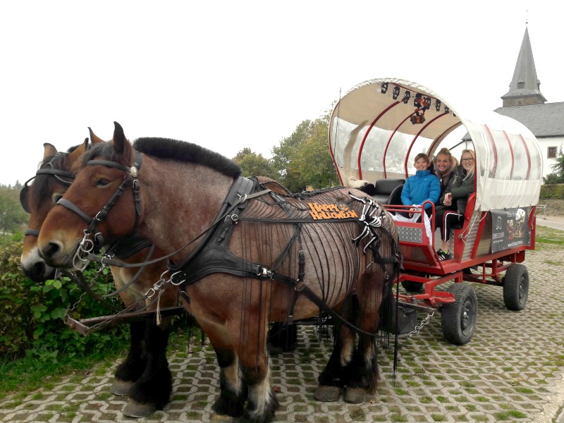 We gaan op pad met de huifkar!