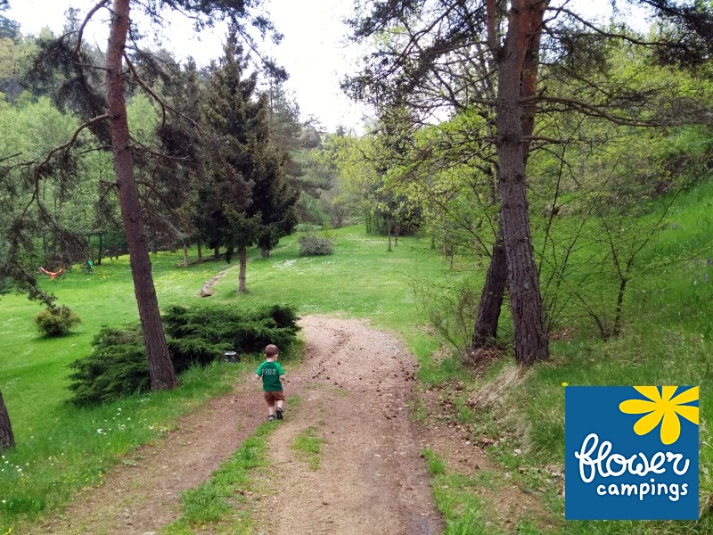 Fijne wandeling over de camping, op weg naar het beekje