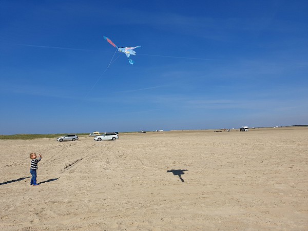 Vliegeren op het strand van Rømø eiland