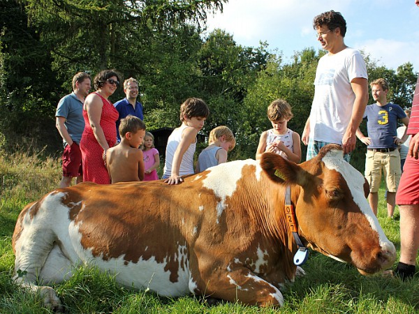 Rondleiding op de boerderij, kinderen bekijken de koe