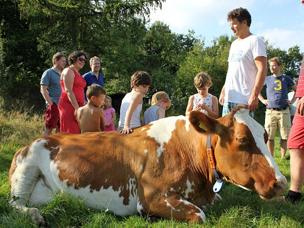 Alle gasten bij Farmcamps krijgen een rondleiding op de boerderij