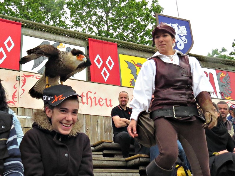 Een roofvogel op je hoofd tijdens de show