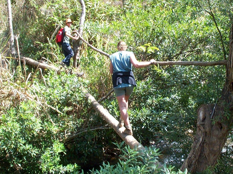 Een jungletocht in Vietnam