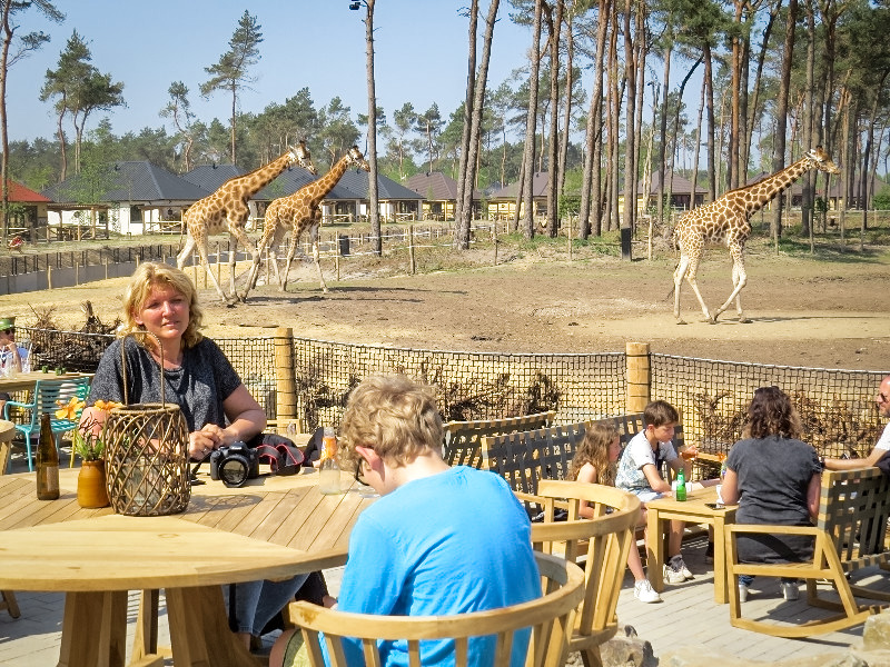 Beekse Bergen Safari Resort, we drinken wat op het terras met uitzicht op de giraffen