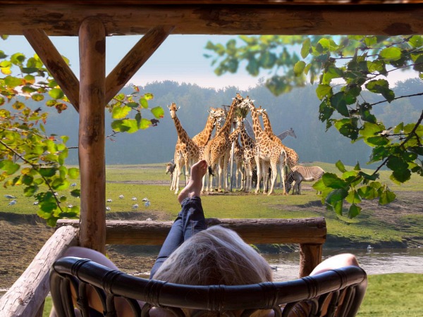 Beekse Bergen vanaf de veranda van je luxe lodge uitzicht op de giraffen