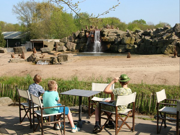 Safaripark Beekse Bergen apenrots