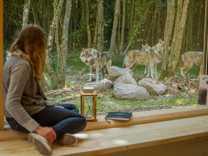 Slapen in een luxe vakantiehuisje tussen de wolven in Sainte-Croix, Frankrijk