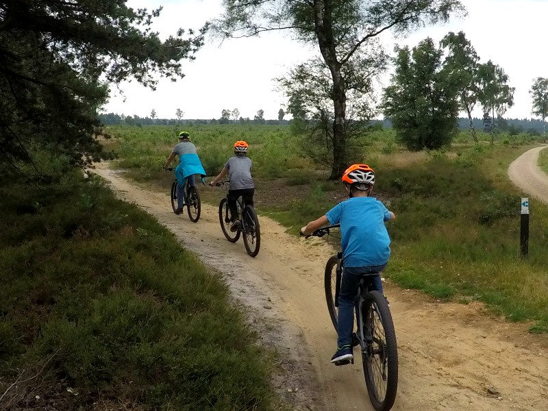 Mountainbiken op de Sallandse Heuvelrug