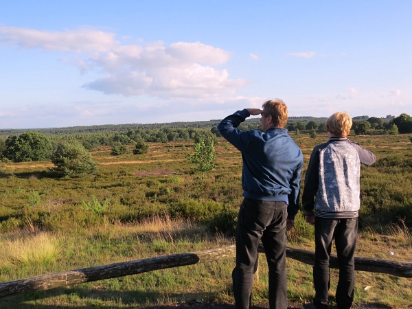 Uitkijk over de Sallandse Heuvelrug