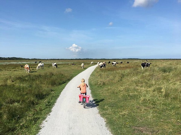 Lekker fietsen en genieten van de natuur op Schiermonnikoog.