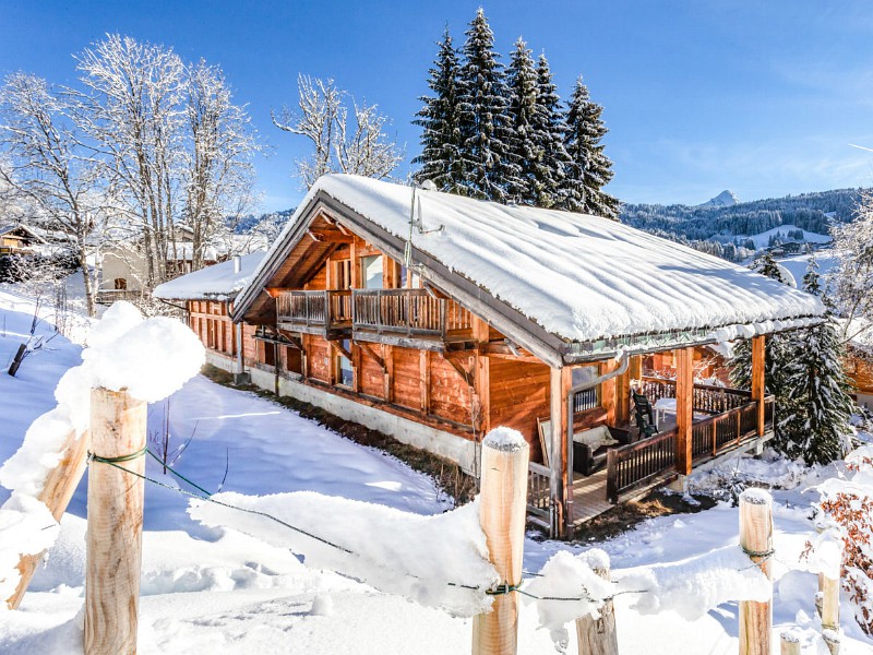 Skichalet Aigle des Neiges