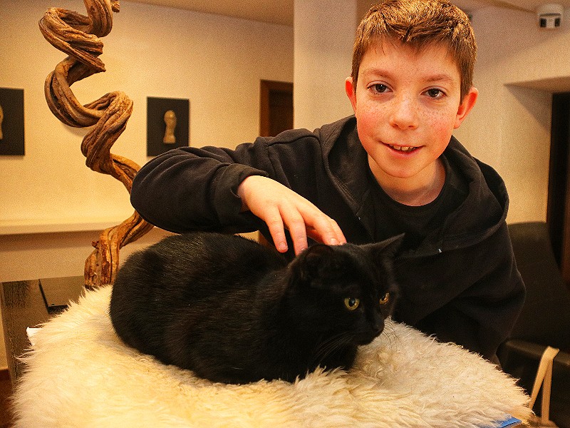De kat van Mo van Gasthof Badl