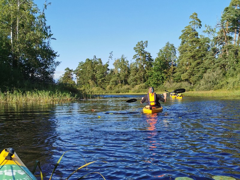 Kanoën met het gezin in het Zweedse Småland
