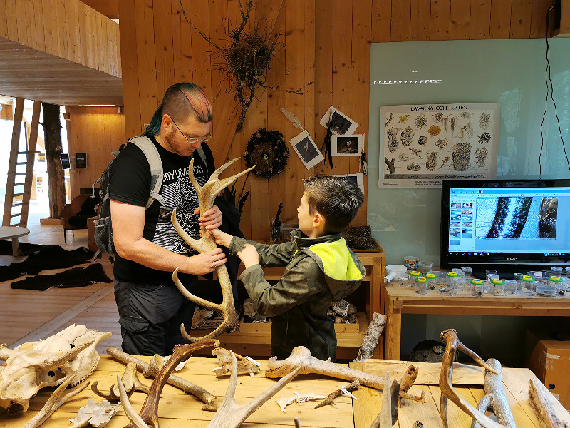 Geweien bekijken in bezoekerscentrum Naturum