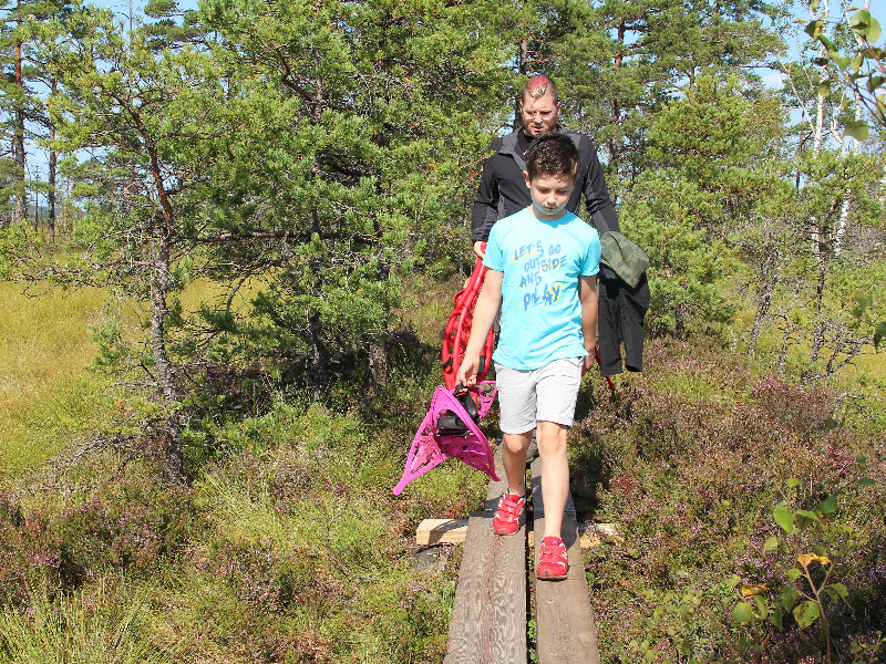 Wandelen naar het moeras in Store Mosse