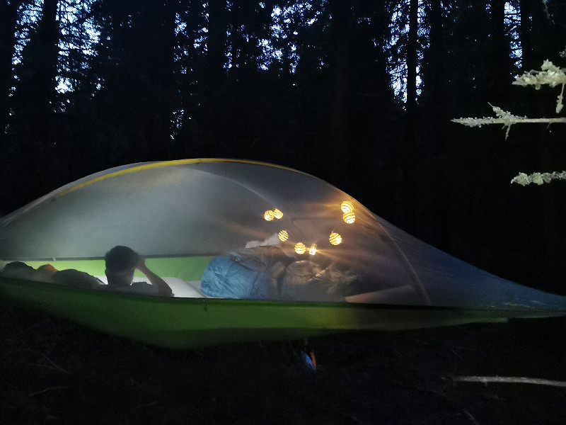Boomtent in de nacht
