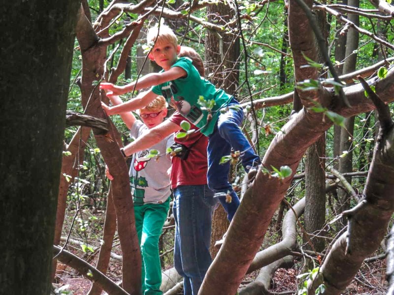 De jongens van Sabine zijn lekker aan het klimmen in het speelbos in Drenthe