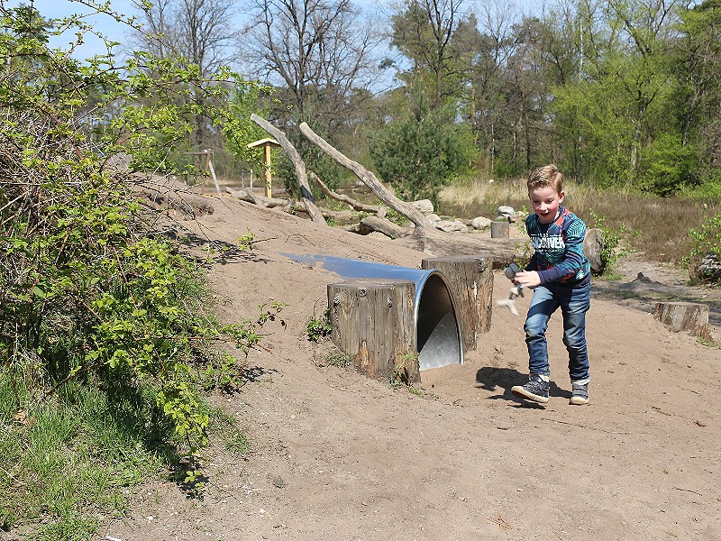 Het Speelbospad op de Sallandse Heuvelrug
