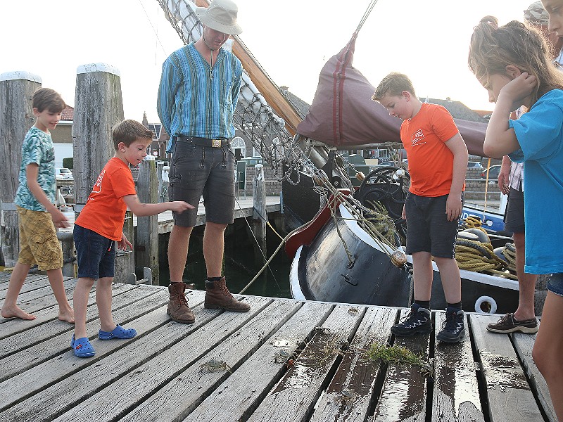 Krabbenrace op de steiger van Terschelling!