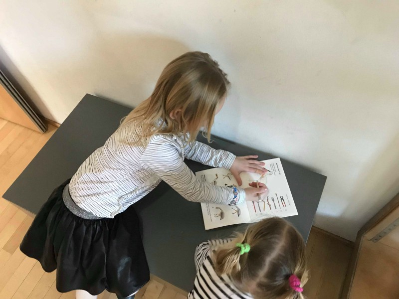 Speurtocht natuurhistorisch museum