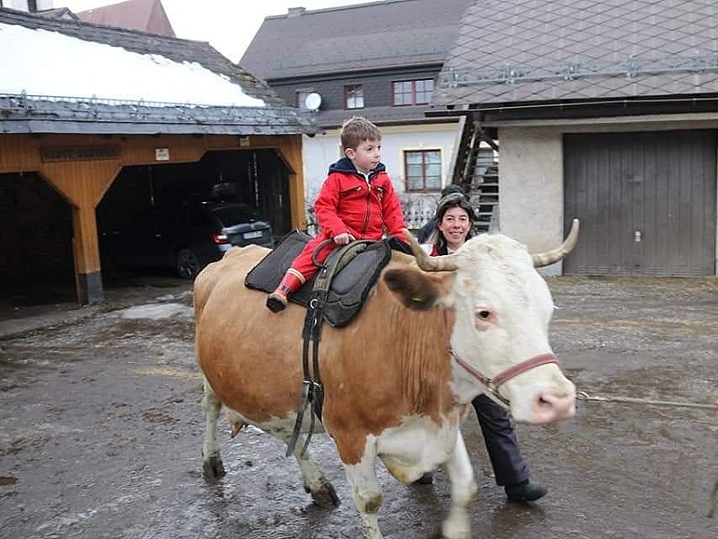 Superkuhl