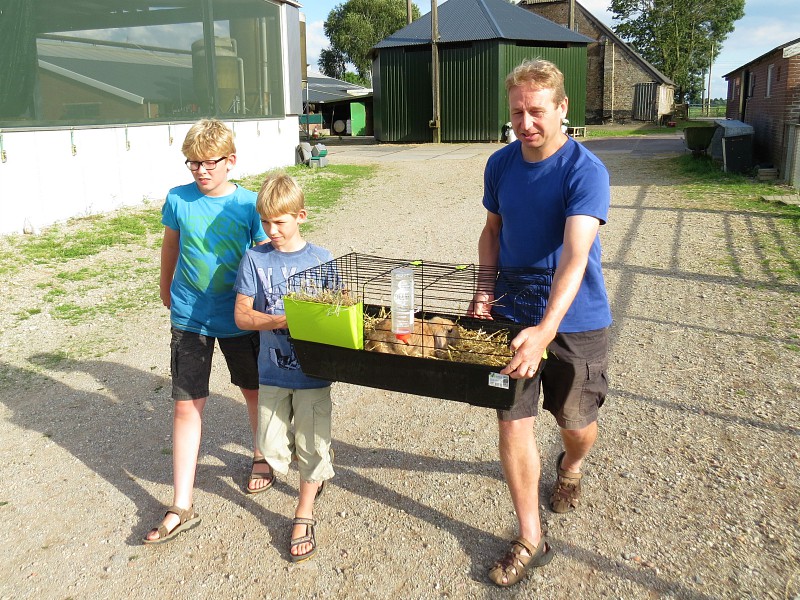 Patrick en Tycho dragen het konijn naar de tent
