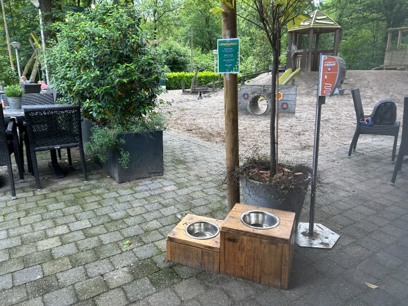 De hond is ook welkom bij Heihaas 