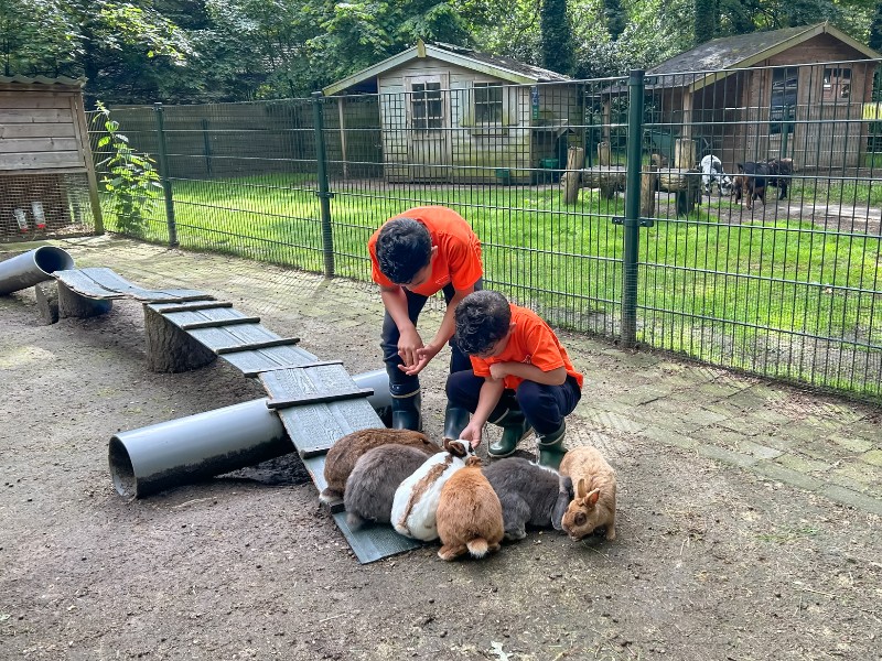 Konijnjes aaien op de kinderboerderij