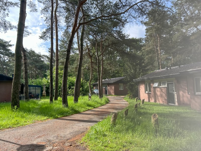 De vakantiehuisjes op vakantiepark Heihaas