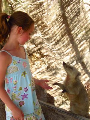 Ruísa met neusbeertje. Ruísa met neusbeertje.