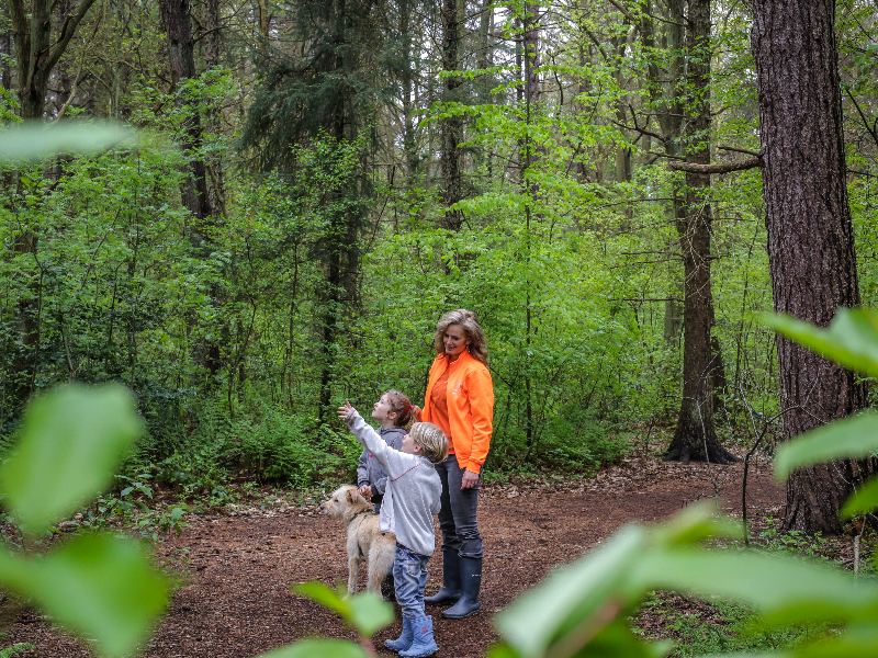 Kinderen wandelen op Texel