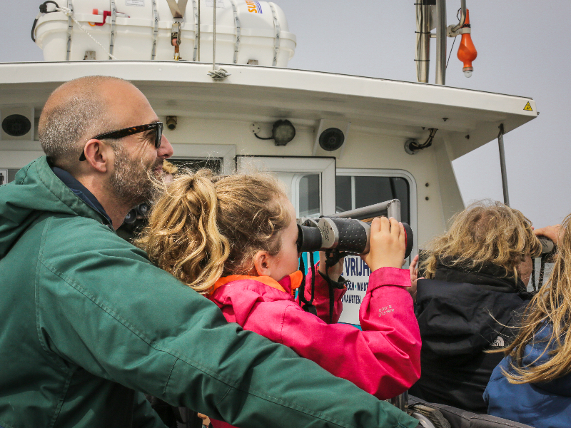 Zeehonden spotten met kinderen op Texel