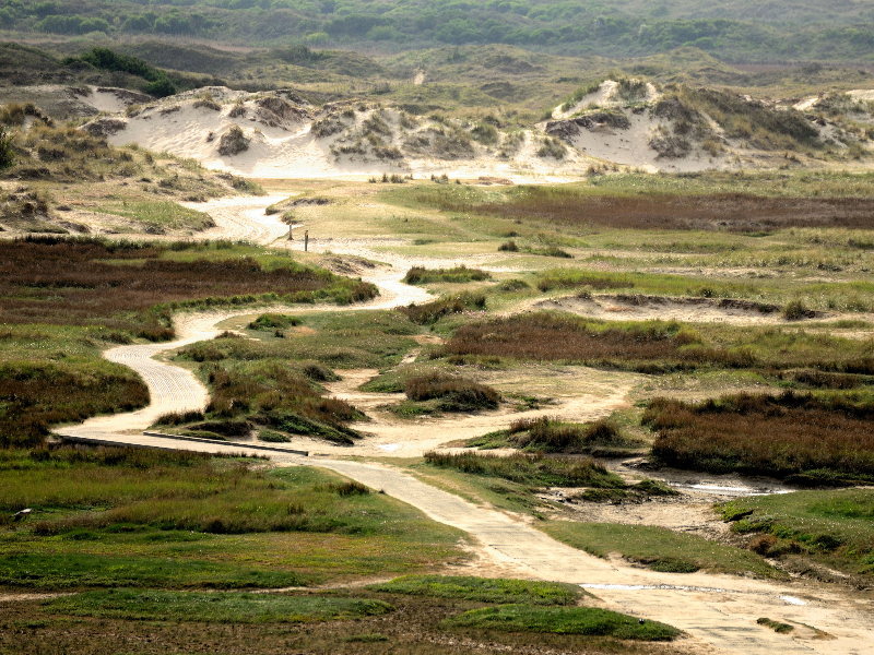 Het pad door de Slufter