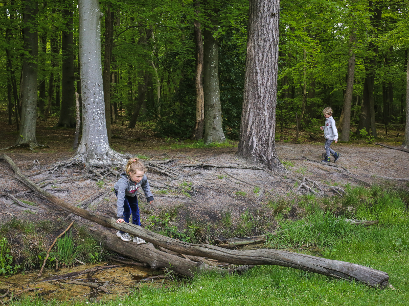 De kinderen van Elisabeth spelen bij het Vierkante Stuk langs Natuurpad de Mient