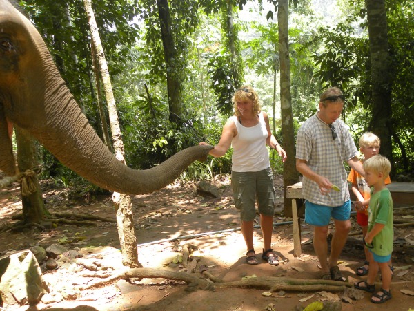 Olifanten verzorgen in Thailand