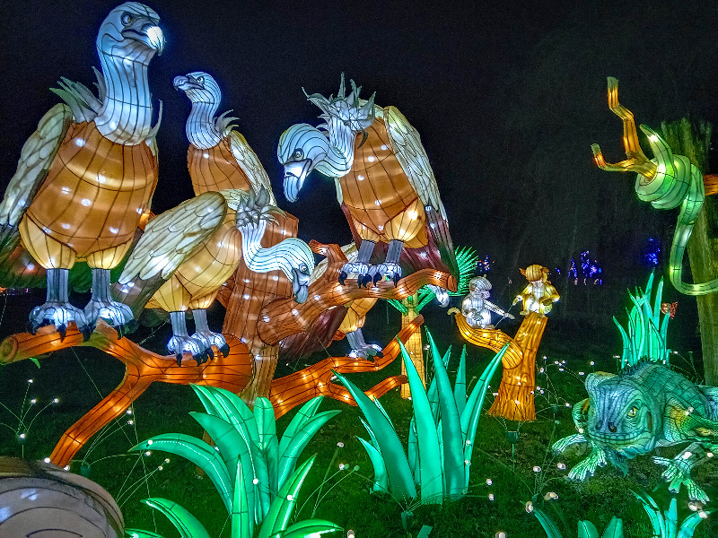 Tiergarten Kleve China Lights