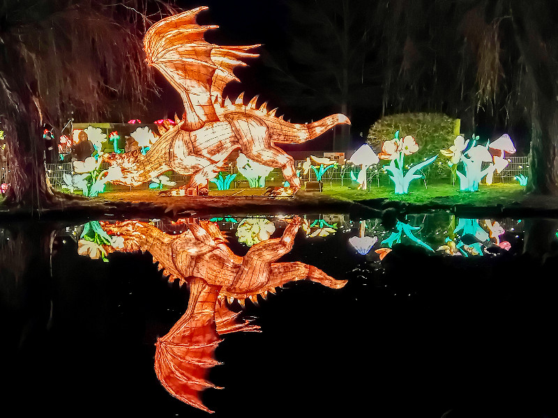 De draak weerspiegeld in het water