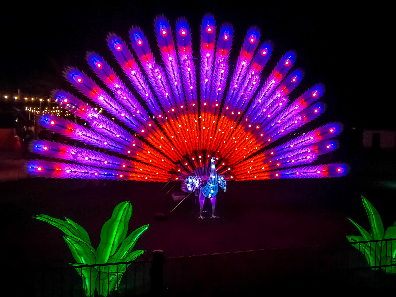 En nu is hij paars met rood