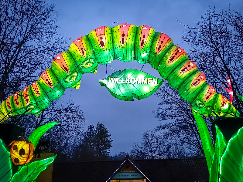 Welkom door rupsje nooit genoeg