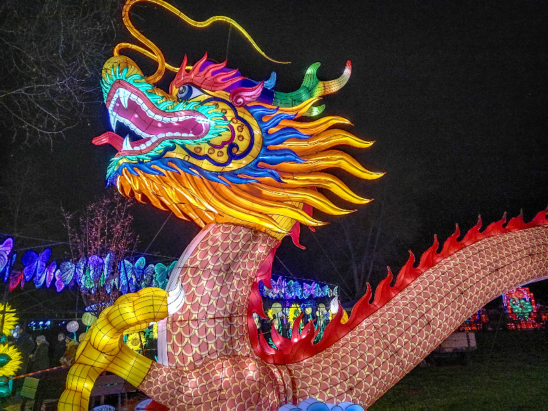 De grote gekleurde draak