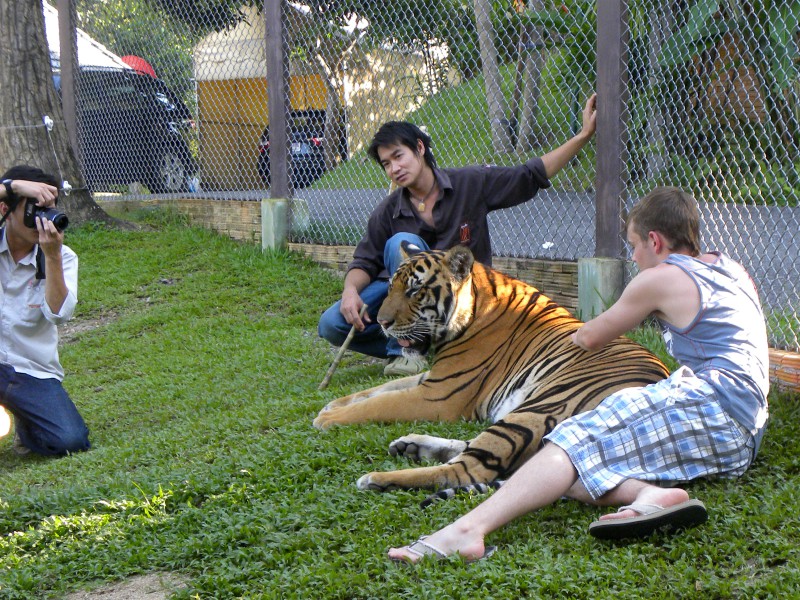 Een toerist met een grote tijger, gedrogeerd of niet...?