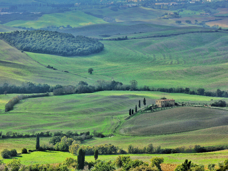 De prachtige en beroemde heuvels van Toscane, hier groen in het voorjaar.